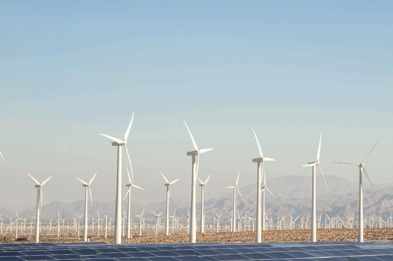 GT-LICITACIÓN-2-768x768