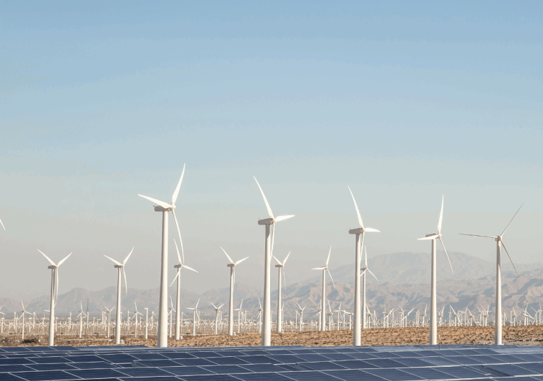 GT-LICITACIÓN-2-768x768